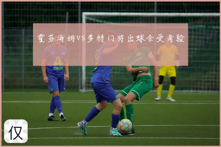 霍芬海姆vs多特门将出球会受考验