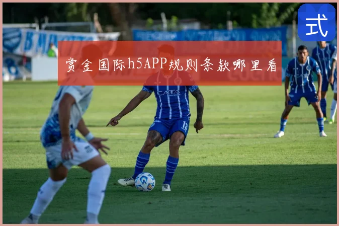 赏金国际h5APP规则条款哪里看